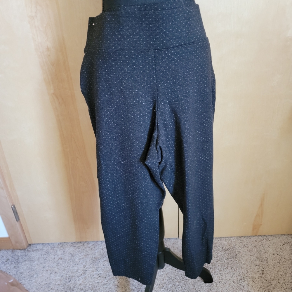 Torrid dress pants
